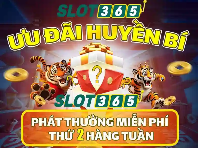 Slot365: Khám phá nền tảng slot trực tuyến và trải nghiệm cược