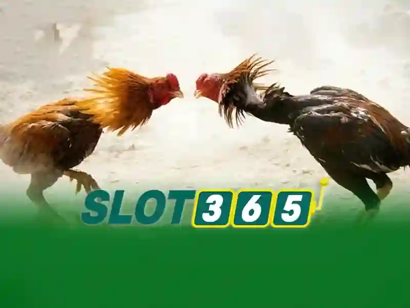 nạp tiền Slot365 – Tổng quan chủ đề và giá trị cốt lõi