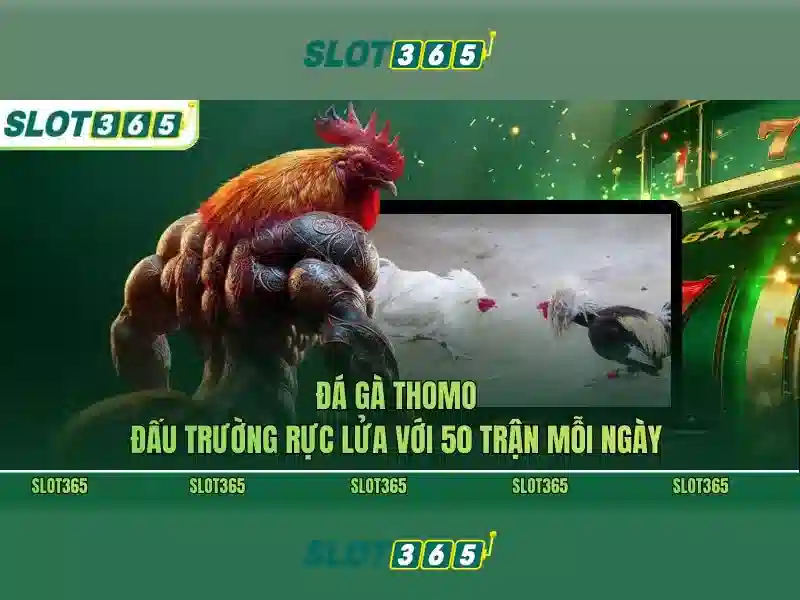 slot365 pulsa tanpa potongan – Giải pháp nạp tiền nhanh, an toàn