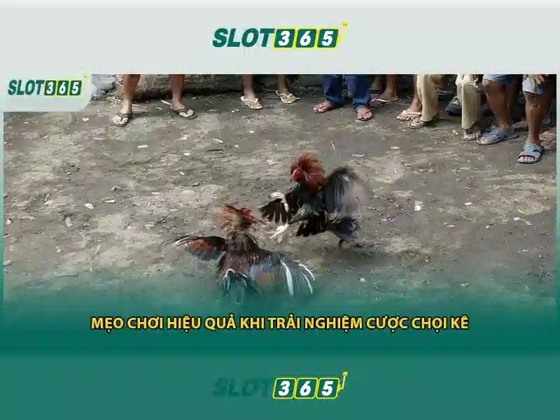 khuyến mãi Slot365: Trải nghiệm tuyệt vời và giá trị