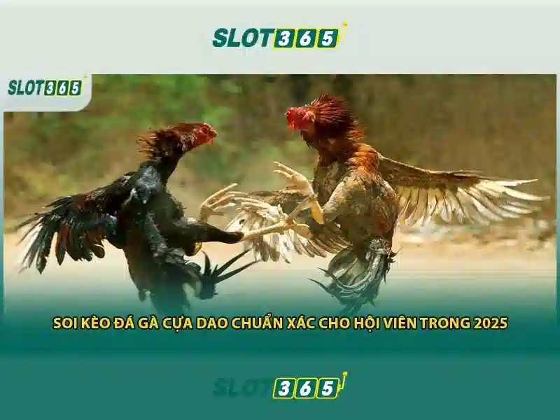 Slot365 - Khám phá thế giới slot trực tuyến