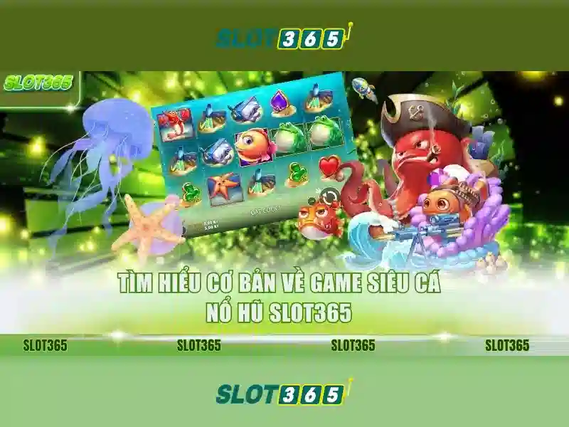 Các sản phẩm và dịch vụ cốt lõi: ứng dụng thực tiễn