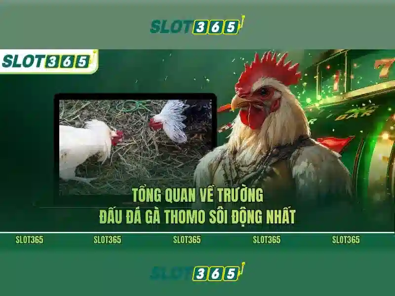 asia slot365 – chủ đề tổng quan và giá trị cốt lõi