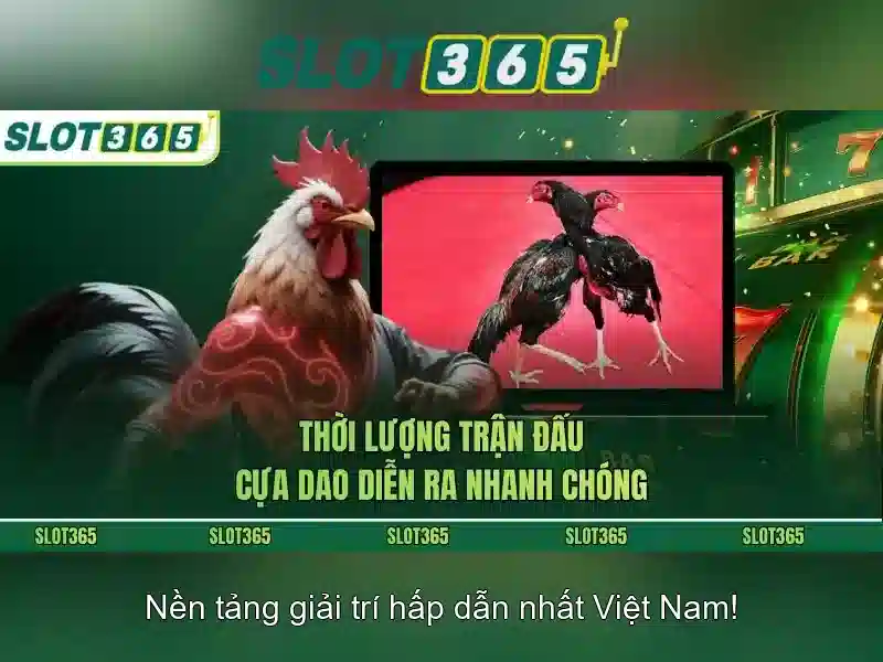 Slot365 - Nền tảng chơi slot trực tuyến an toàn và thú vị