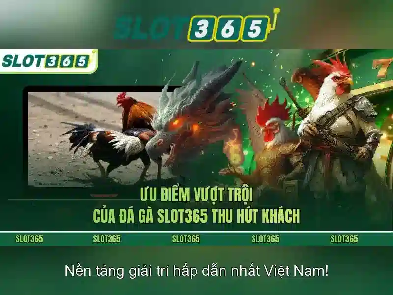 slot365 apk – Trải nghiệm tổng thể và tiện ích an toàn