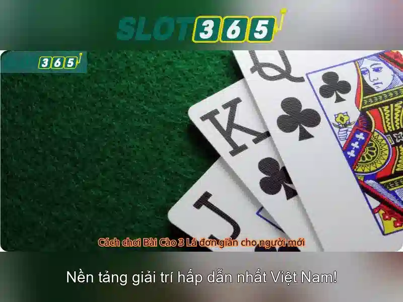 Slot365: Nền tảng trò chơi slots trực tuyến hàng đầu