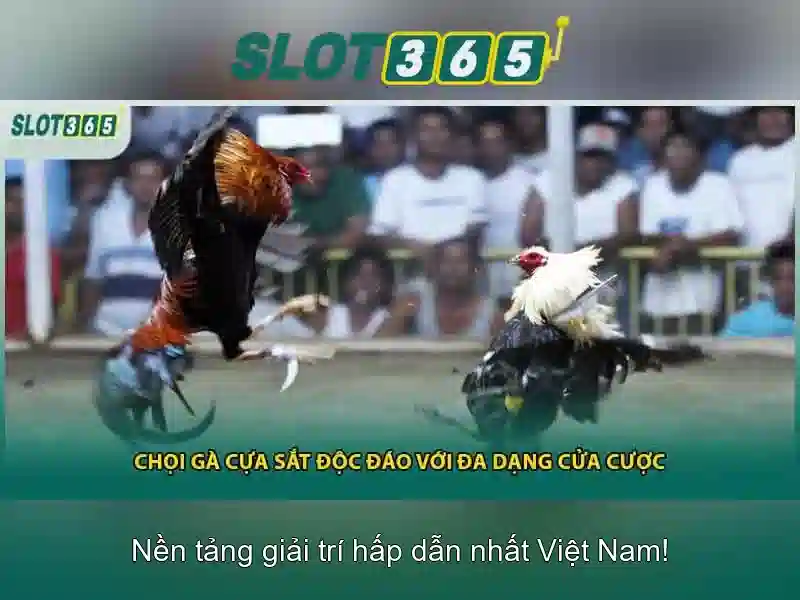 slot game Slot365 – chủ đề và giá trị cốt lõi