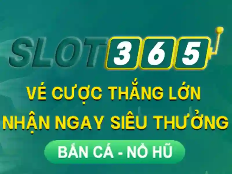 Tóm tắt và lời mời trải nghiệm