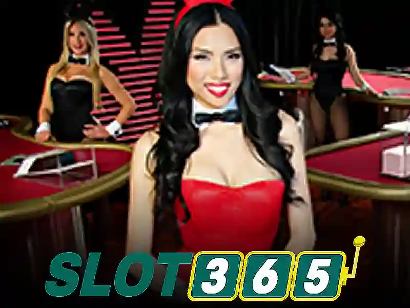 slot365 vn – Trải nghiệm và đánh giá slot365 vn