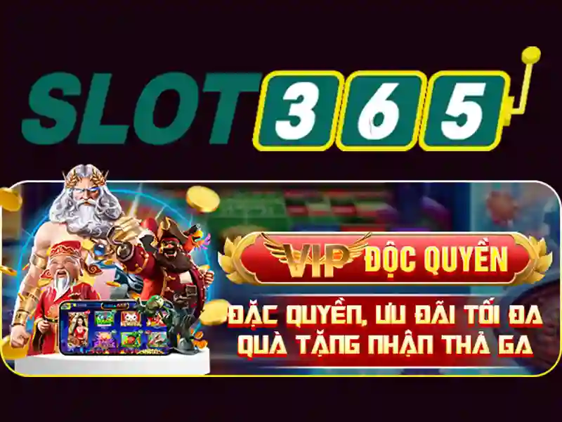 live slot365 – Trải nghiệm trực tiếp và đánh giá chất lượng