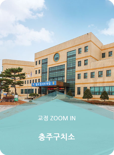 교정 zoom in